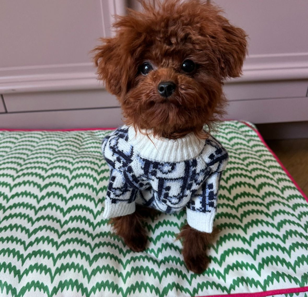 Dogior Monogram Dog Sweater