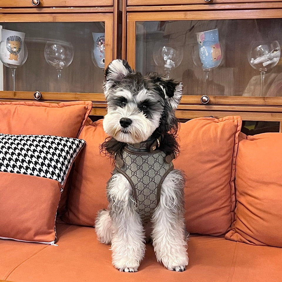 LUXURY LEATHER POOCHI HARNESS, COLLAR & LEAD