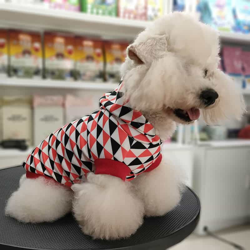 Winter Autumn pet hoodies w466#