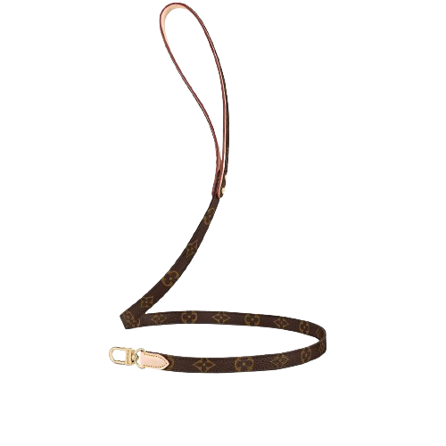 AMELIA Dog Collar & Leash