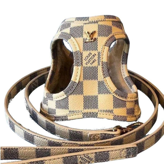 XANTHIA Dog Collar & Harness