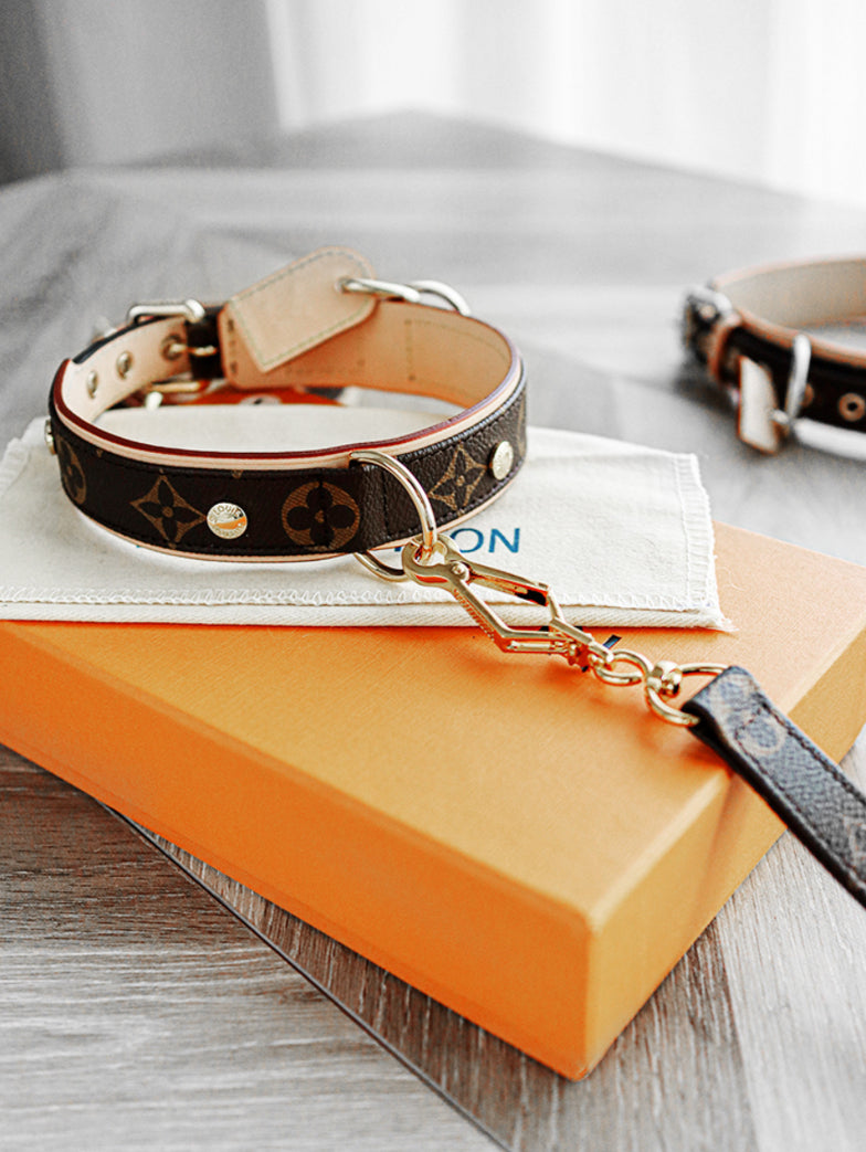 AMELIA Dog Collar & Leash