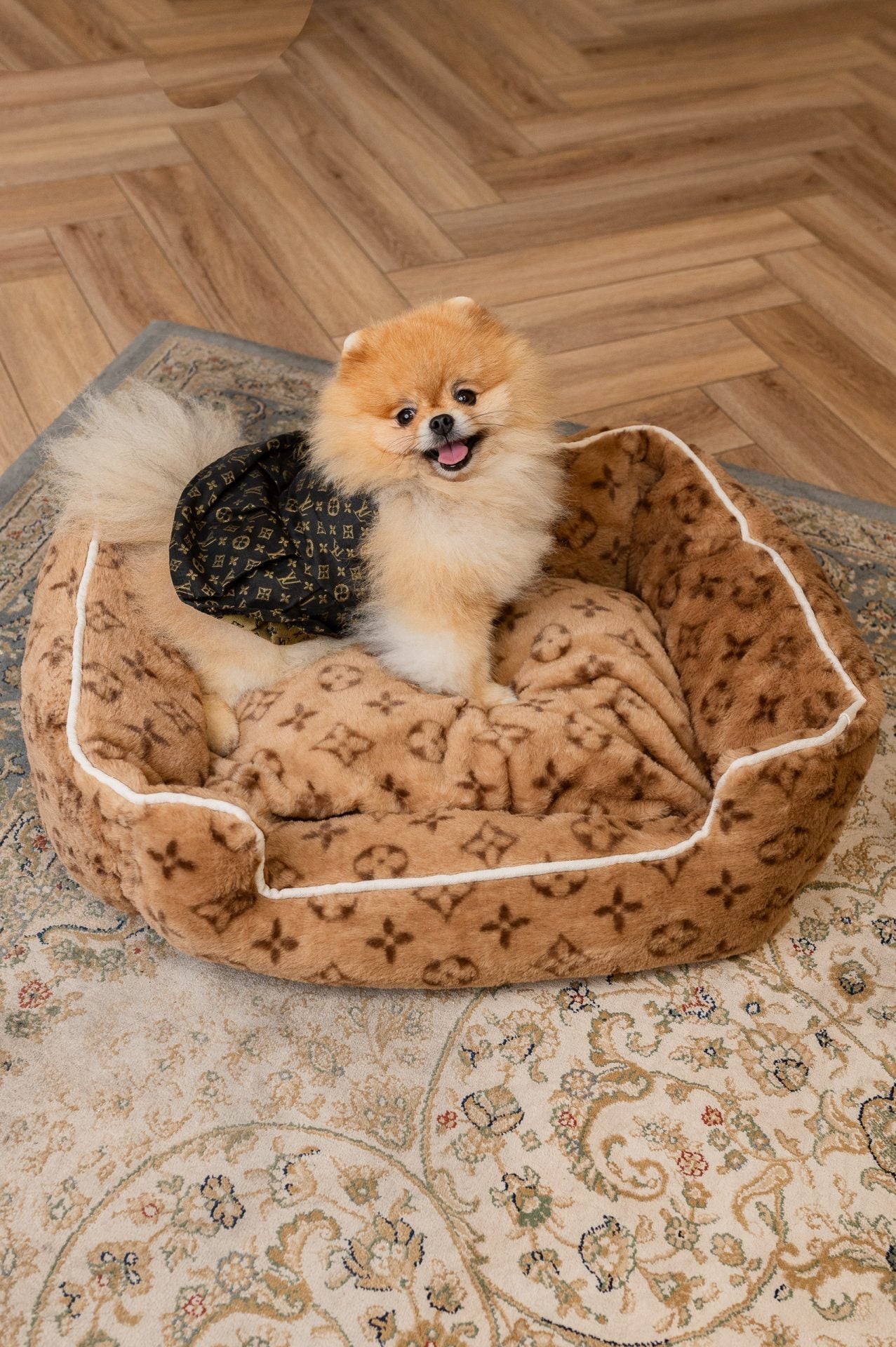 LORINA PAWTTON SOFT DOG BED