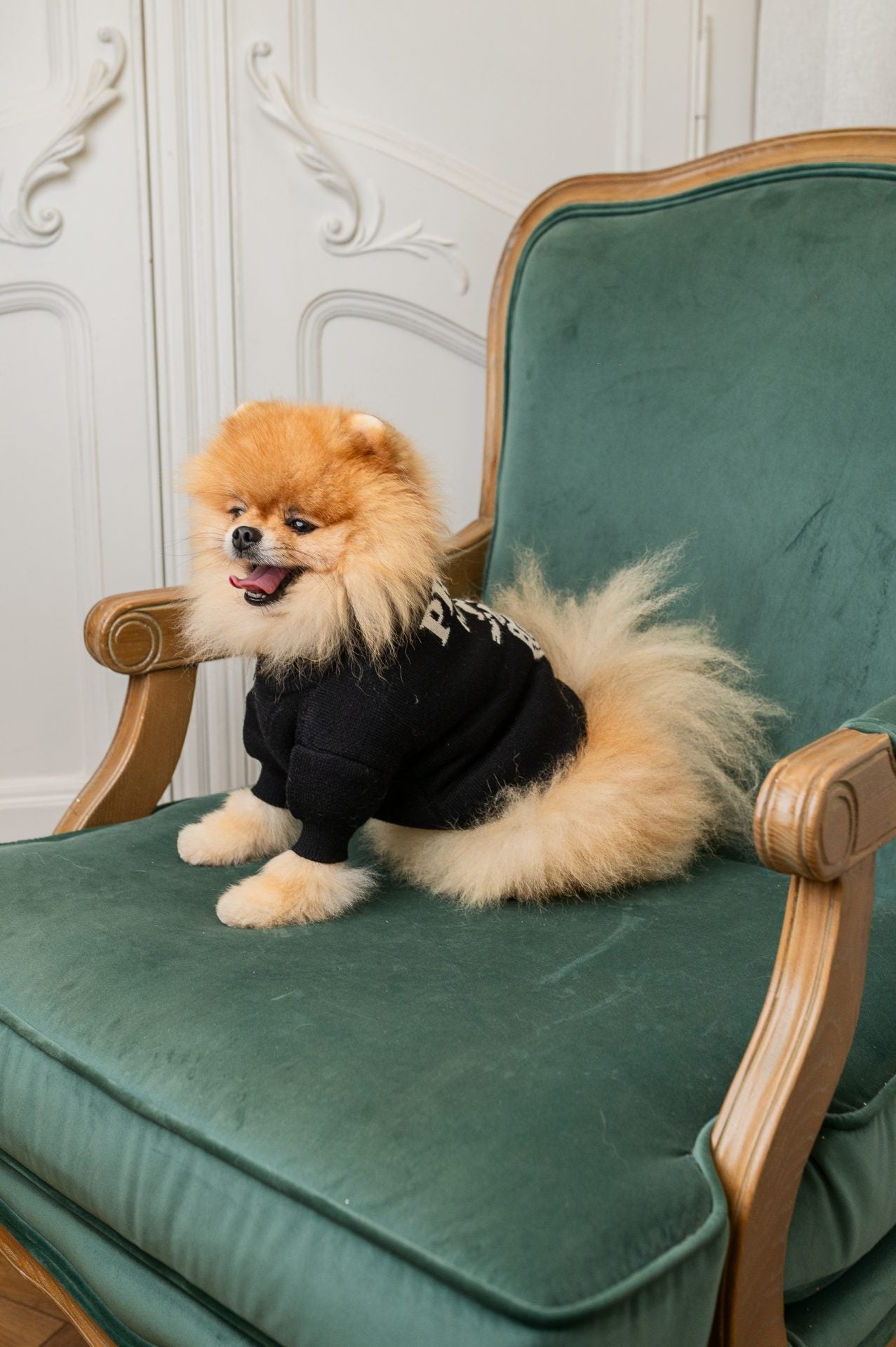 Pawda Classic Sweater