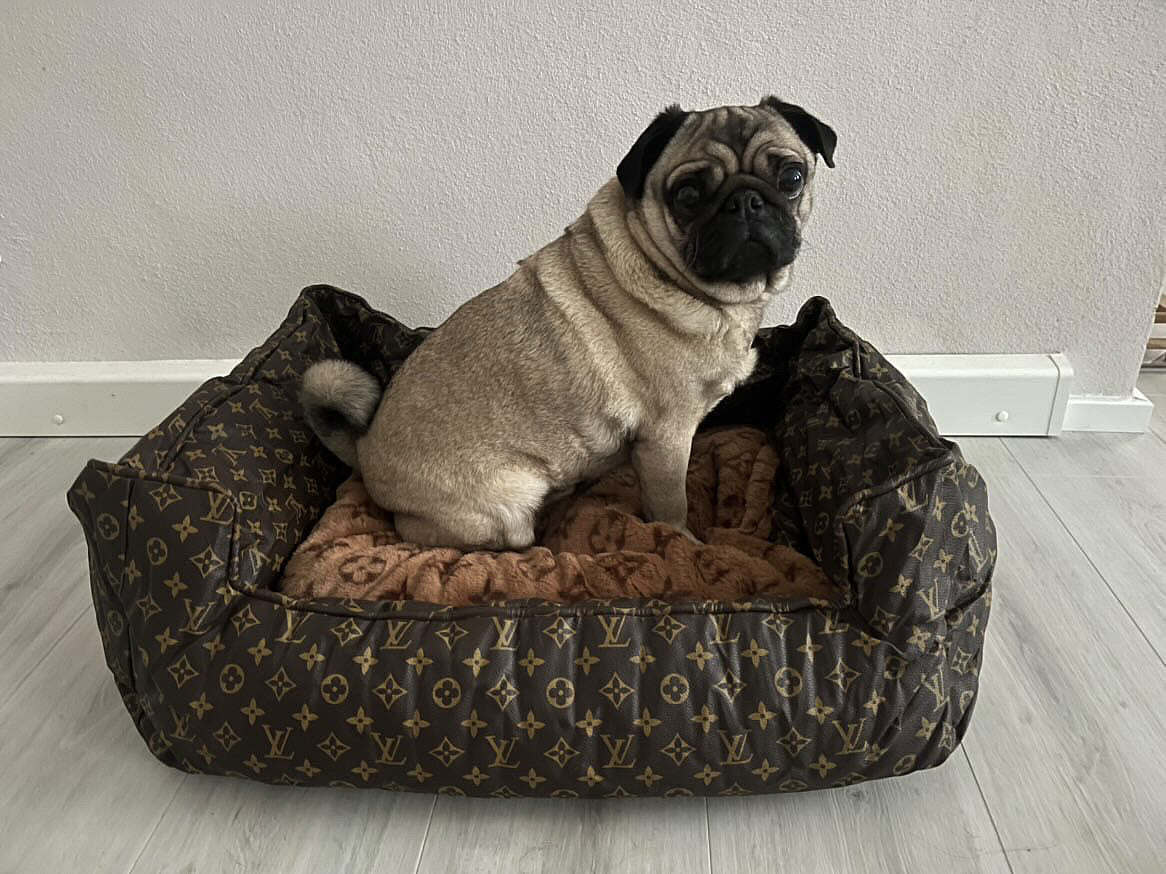 LOUIS PAWTTON ESSENTIALS DOG BED