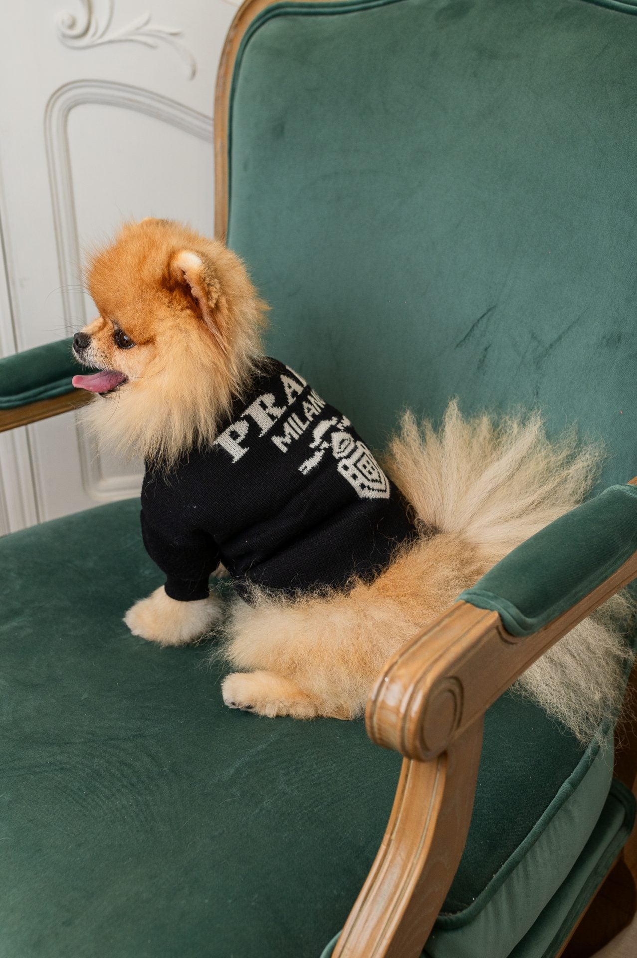 Pawda Classic Sweater