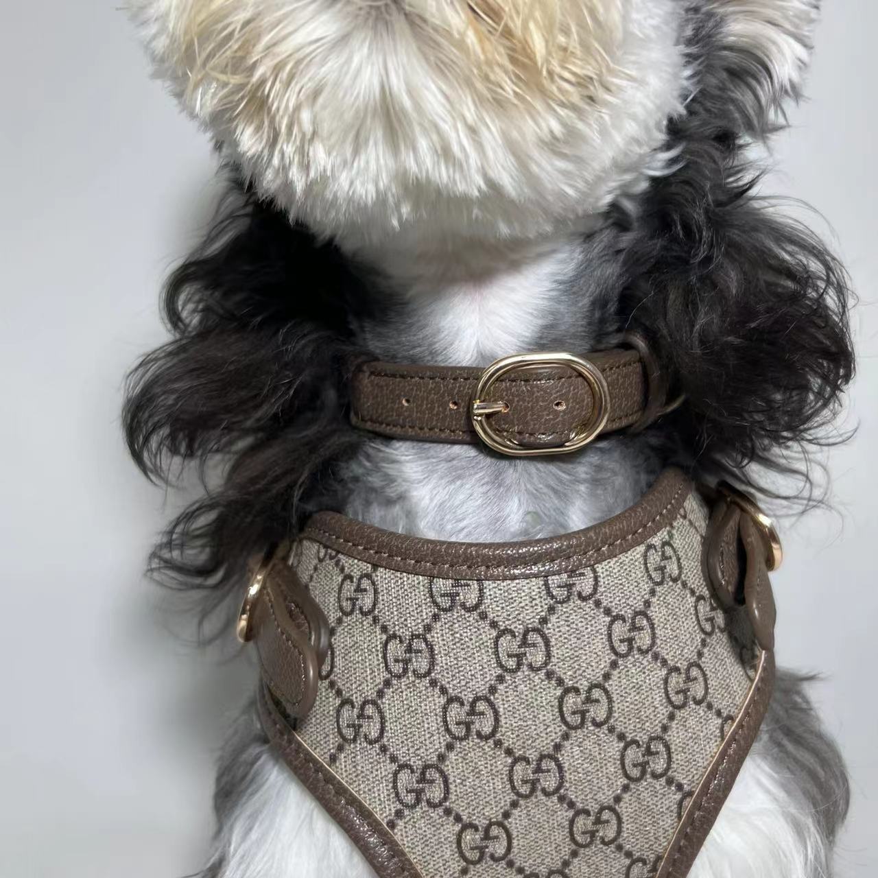 LUXURY LEATHER POOCHI HARNESS, COLLAR & LEAD