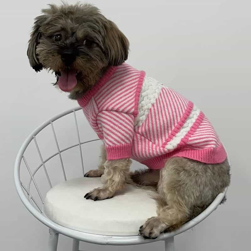Dog sweater w492#
