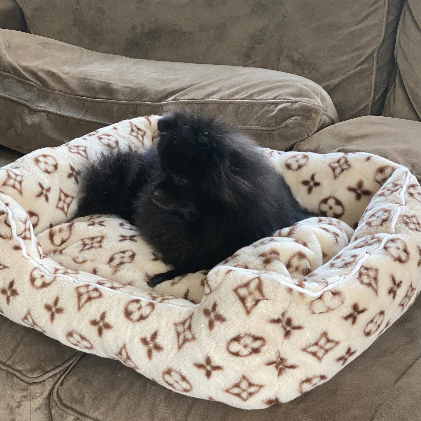 LOUINA COZY DOG BED