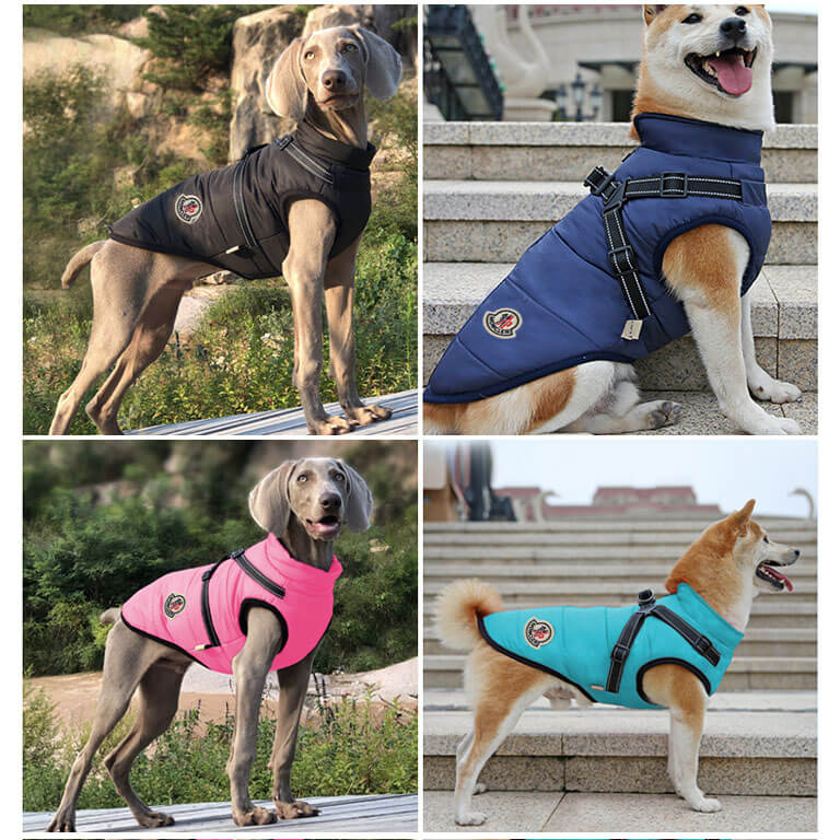 designer dog harness coat wholesale w634#