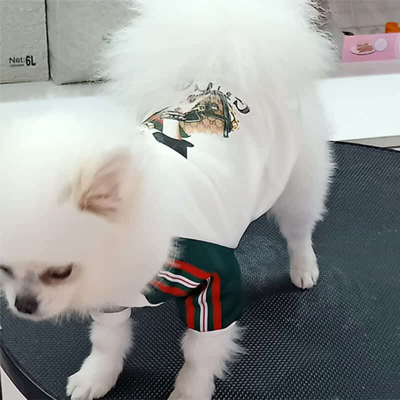 Dog  baseball Coat w572#