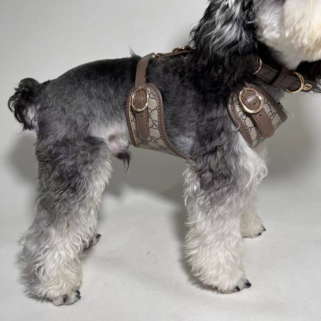 LUXURY LEATHER POOCHI HARNESS, COLLAR & LEAD