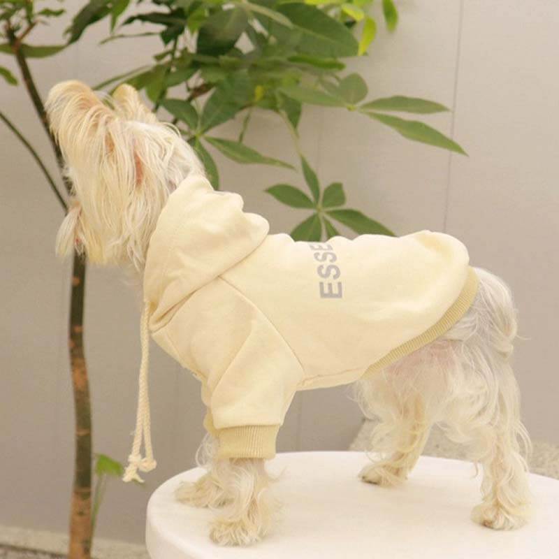 Cream grey designer dog hoodies w578#