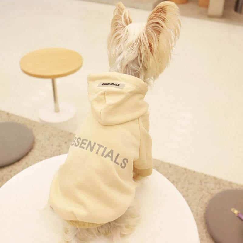 Cream grey designer dog hoodies w578#