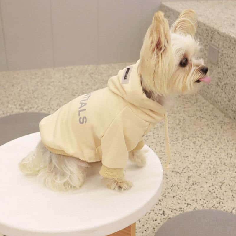 Cream grey designer dog hoodies w578#
