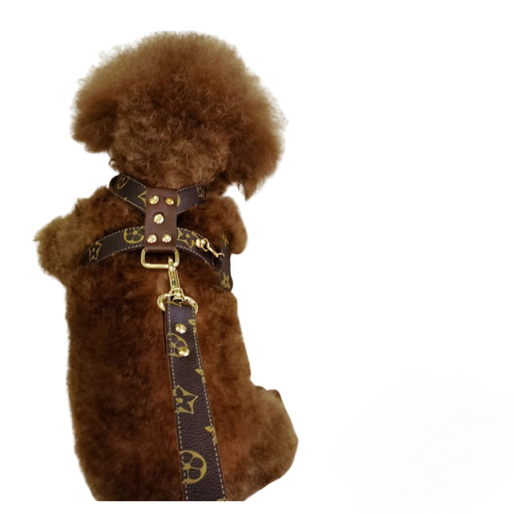 DINA Harness & Leash SET β Brown Faux Leather Luxury