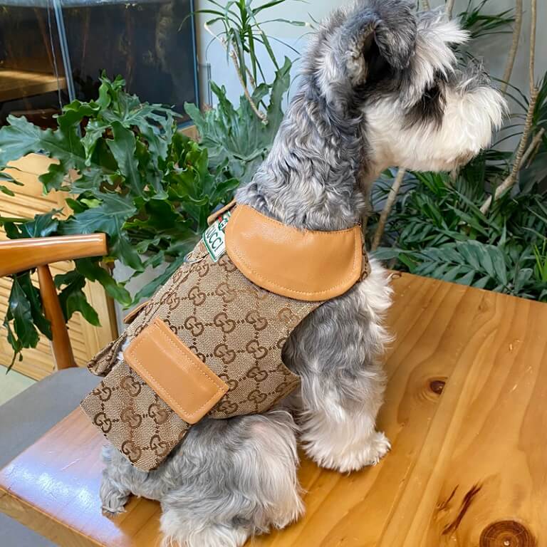 designer dog coats with harness W606#