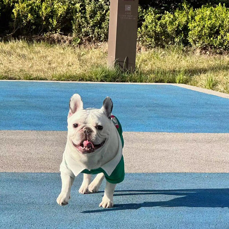 Custom Dog Polo w566#