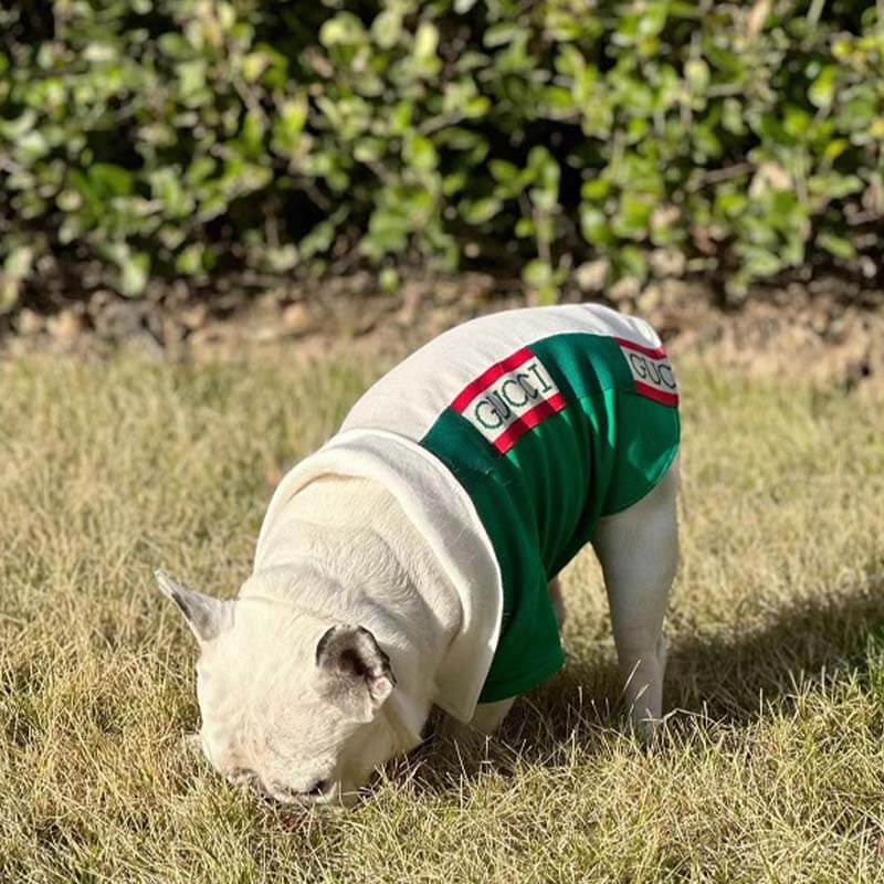 Custom Dog Polo w566#