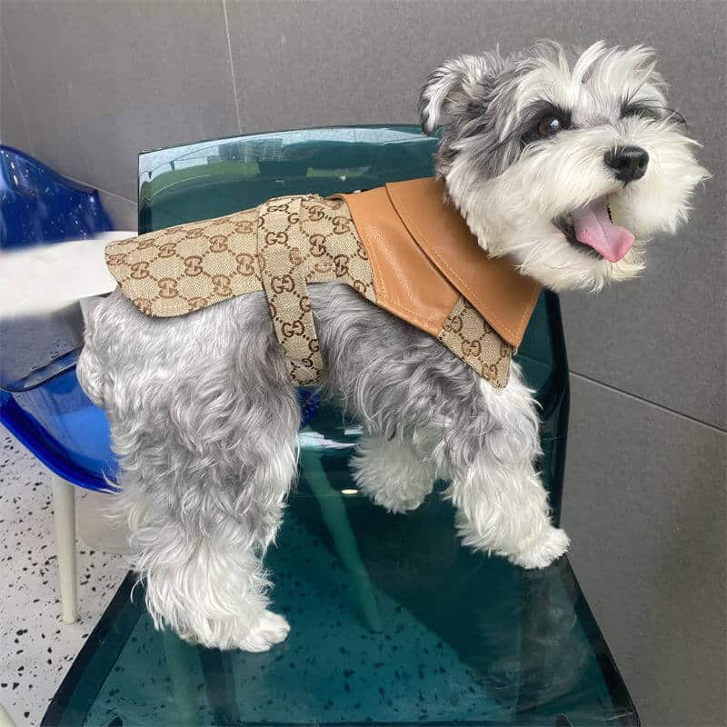 Classic dog cfrench bulldog w517#