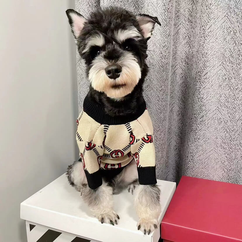 Fashion dog sweater w508#