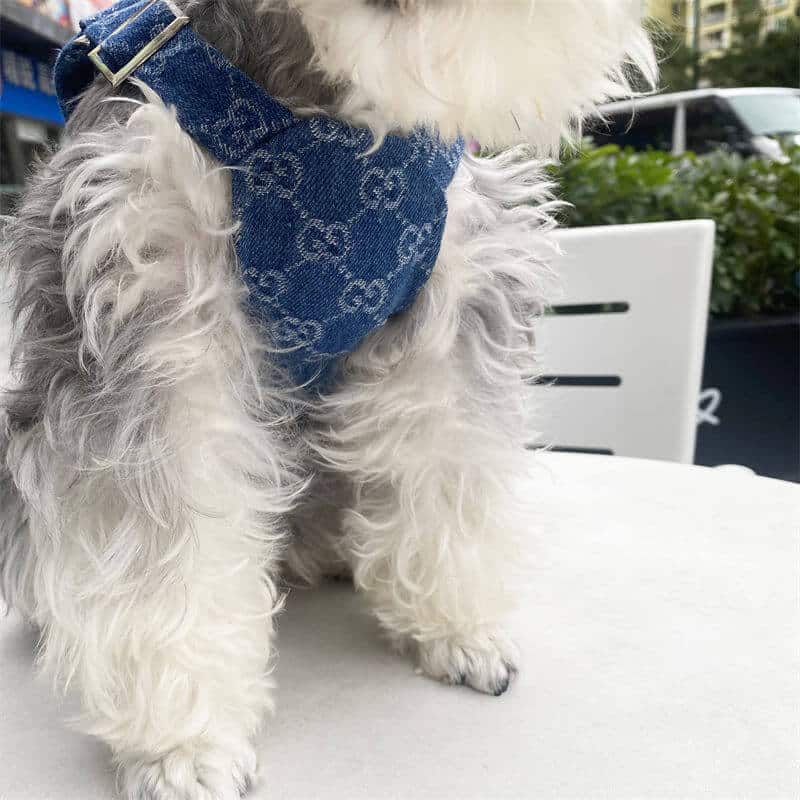 Dog suspenders w516#