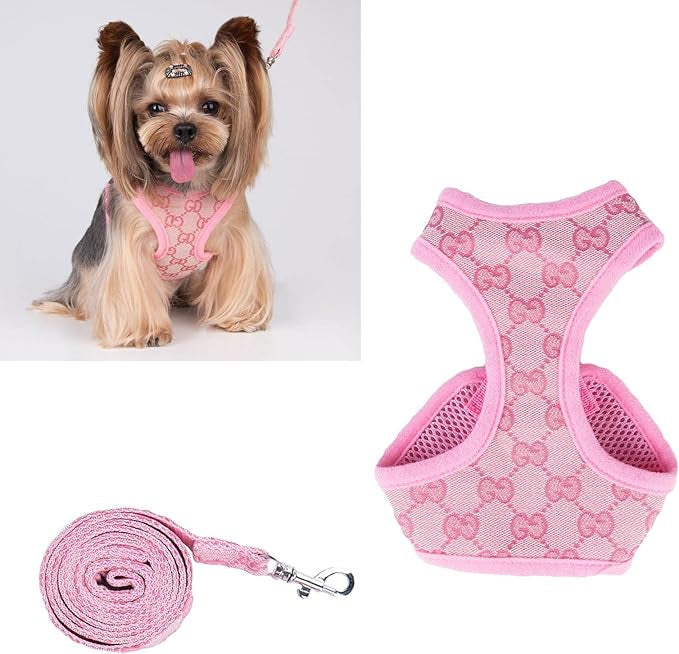 BELLA HARNESS & LEASH SET