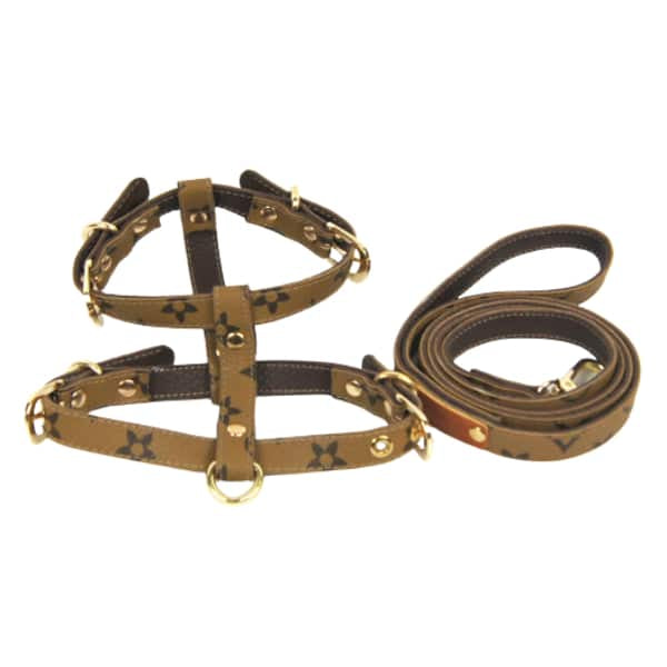 DINA Harness & Leash Set β Brown Faux Leather Luxury