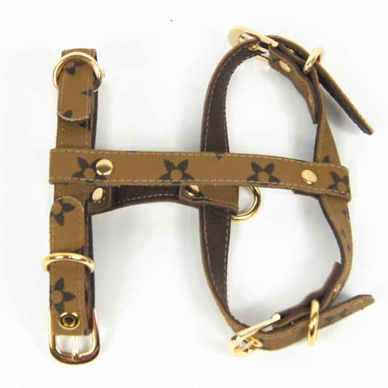 DINA Harness & Leash Set β Brown Faux Leather Luxury