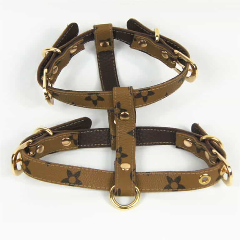 DINA Harness & Leash Set β Brown Faux Leather Luxury