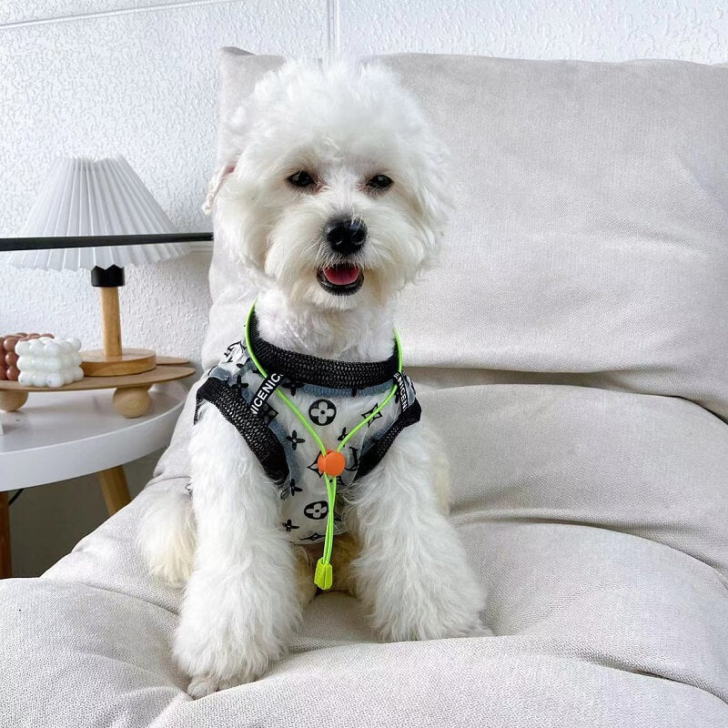 Best dog shirts w569#