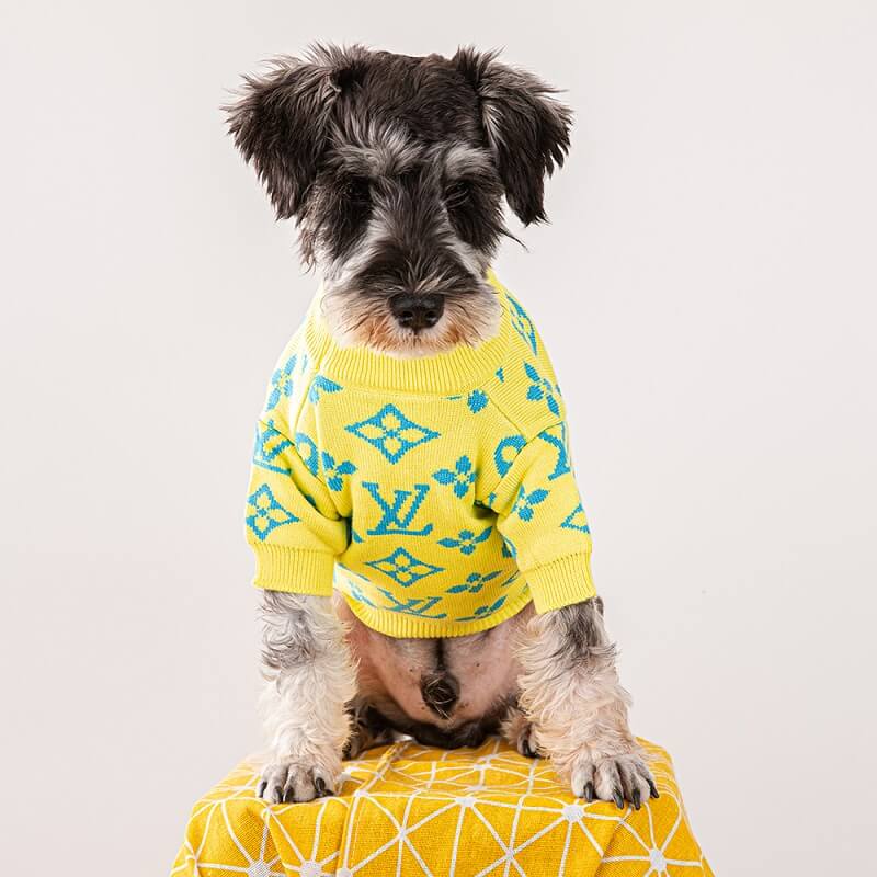 Luxury puppy sweater w592#