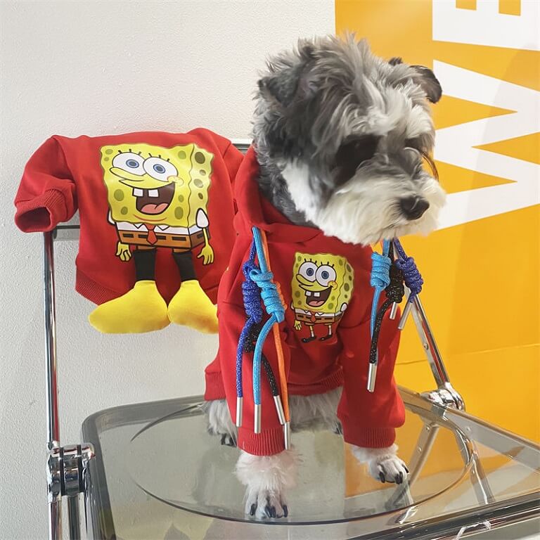 Small dog designer clothes qw680