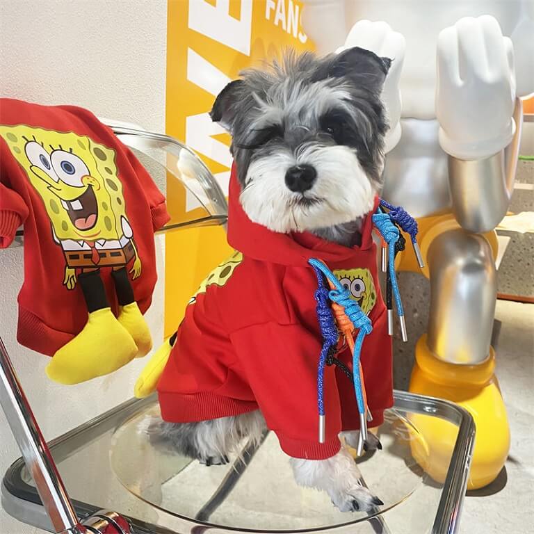 Small dog designer clothes qw680