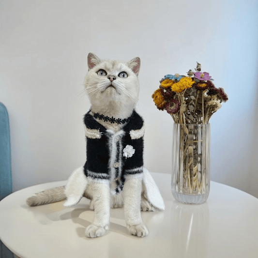 designer cat clothes qw686