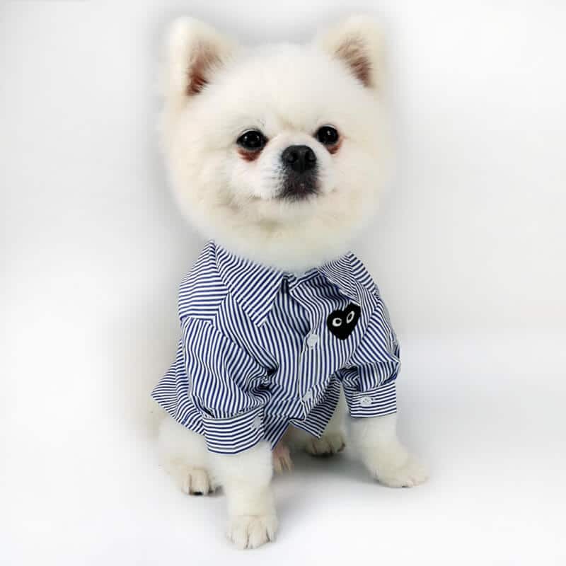 Fashion dog shirt 167#