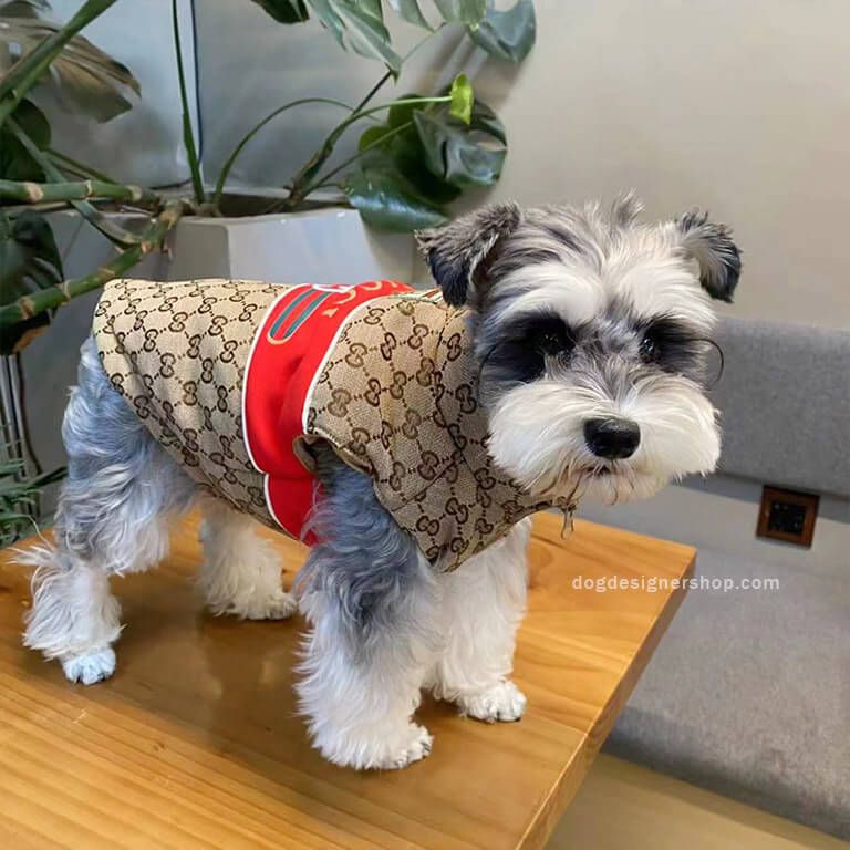 Designer dog coats with leash w627#