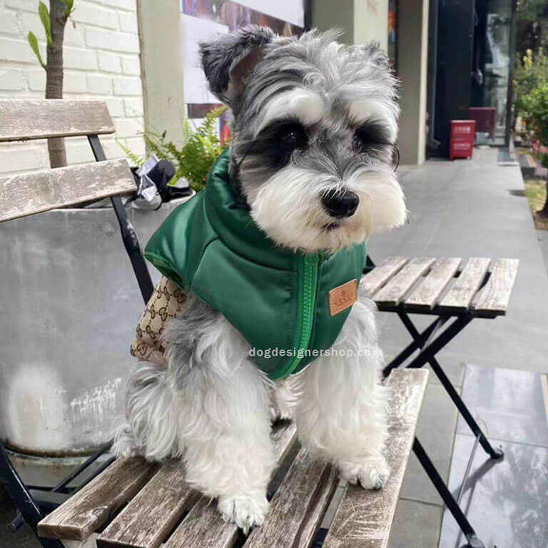 Designer dog coats with leash w627#