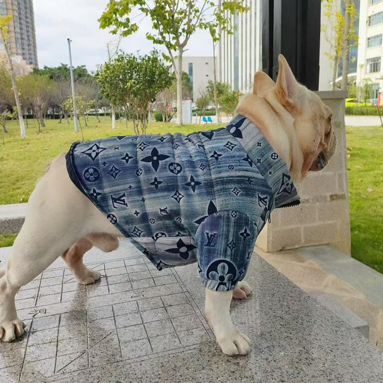 designer winter dog coat QW674