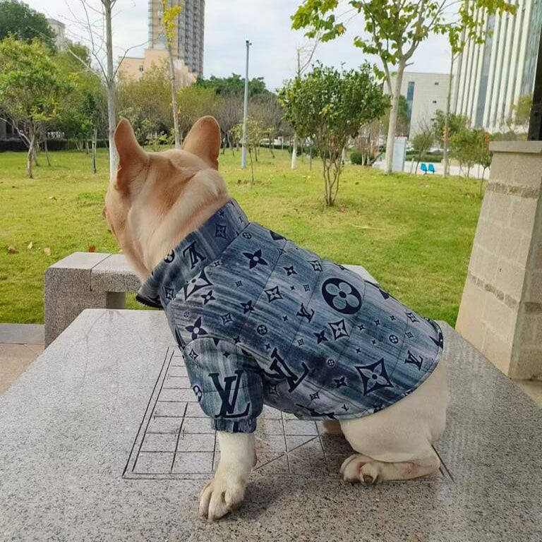 designer winter dog coat QW674