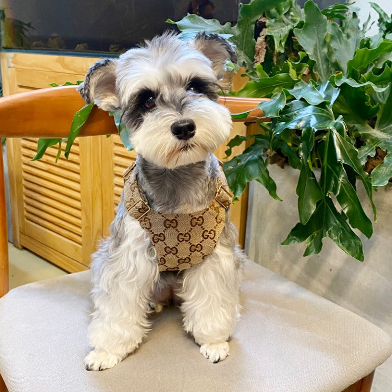 designer khaki dog harness dress for small dog w692