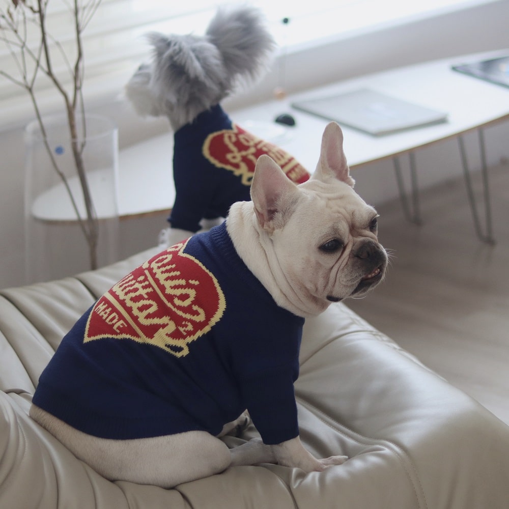 Blue dog sweaters w498#