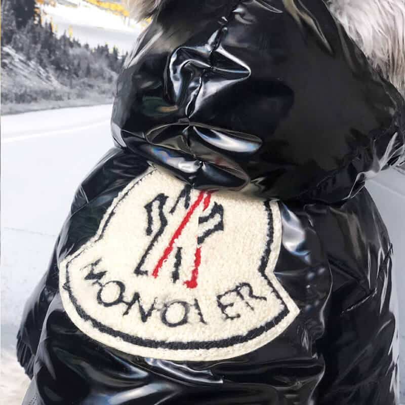 Cool winter dog downjacket w118#