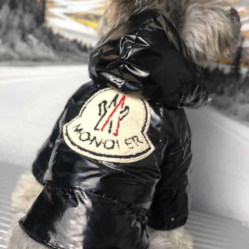 Cool winter dog downjacket w118#