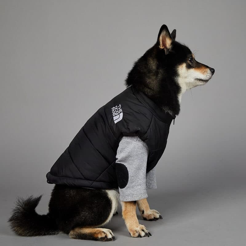 black puffer jacket dog coat w482#