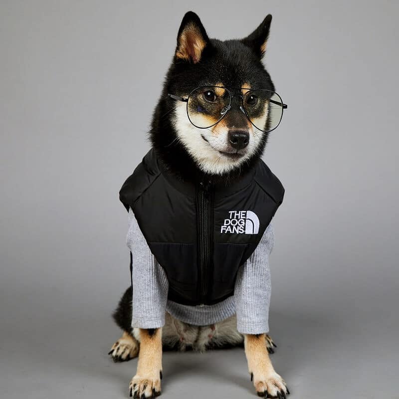 black puffer jacket dog coat w482#