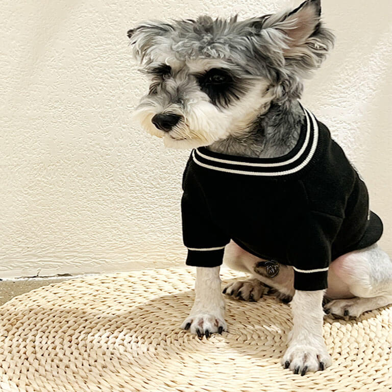 Fashion clothes for dogs w619#