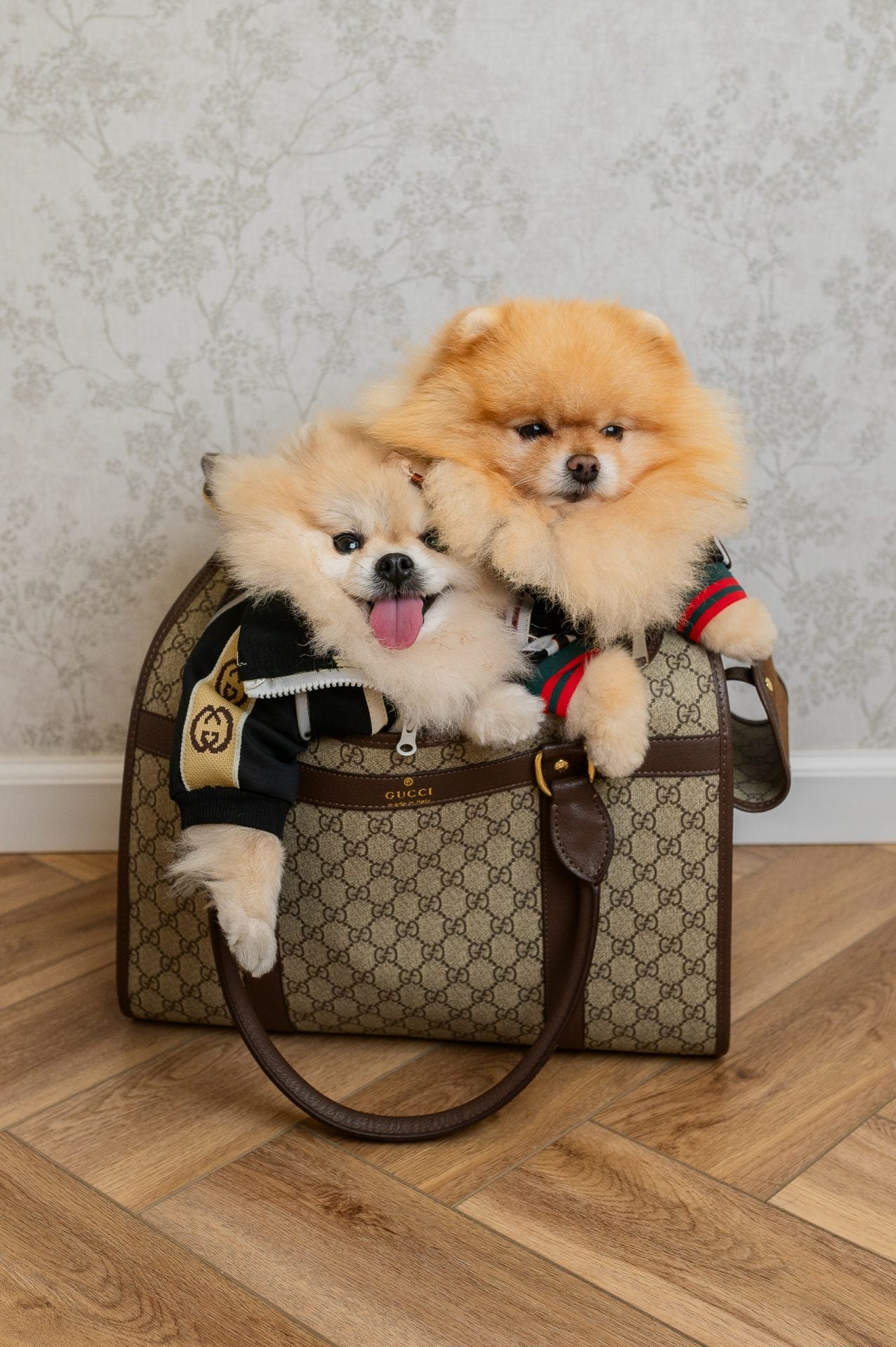 GG BAG (3-5 days to send out)