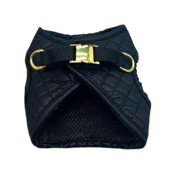 CC BLACK STEP- HARNESS WITH LEASH SET