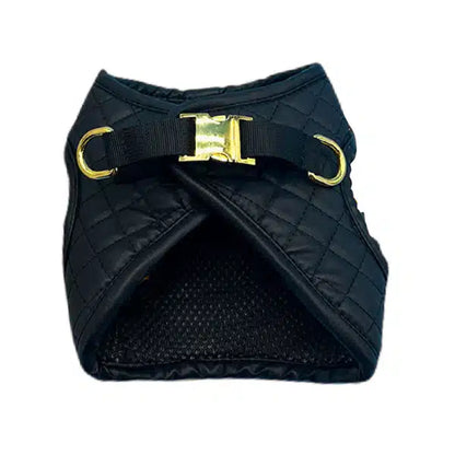 CC BLACK STEP- HARNESS WITH LEASH SET